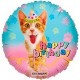 Palloncino Mylar Mini Shape 22 cm. Happy Birthday Cat Party