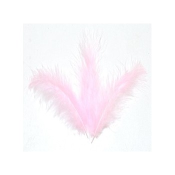 Piume Rosa